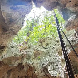 Green Grotto Caves - Newcastle