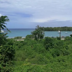 Oracabessa Bay - Newcastle