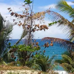 Oracabessa Bay - Newcastle