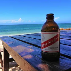 Reggae Beach - Newcastle