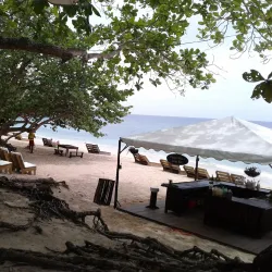 Reggae Beach - Newcastle