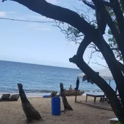 Reggae Beach - Newcastle