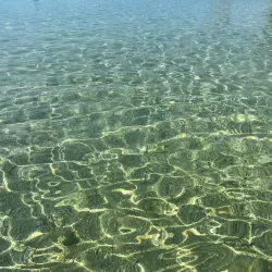 Reggae Beach - Newcastle