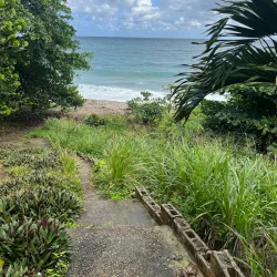 Rio Nuevo Battlefield - Newcastle