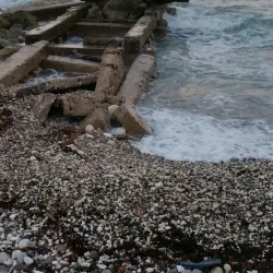 Rio Nuevo Battlefield - Newcastle