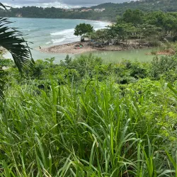 Rio Nuevo Battlefield - Newcastle