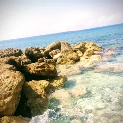 Rio Nuevo Battlefield - Newcastle