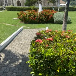 St. Mary Parish Church - Newcastle