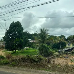 Fern Gully - Ocho Rios