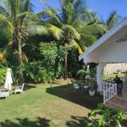 Harmony Hall Art Gallery - Ocho Rios