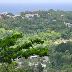 Konoko Falls and Park - Ocho Rios
