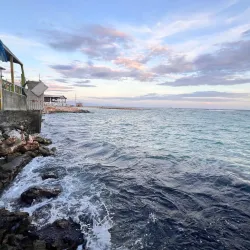 Hellshire Beach - Old Harbour