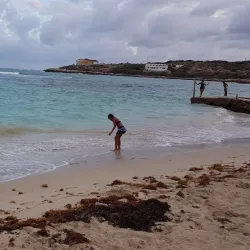 Hellshire Beach - Old Harbour