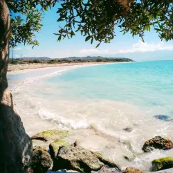 Hellshire Beach - Old Harbour