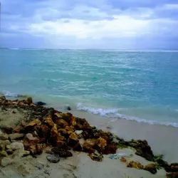 Hellshire Beach - Old Harbour