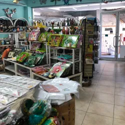 Local Craft Shops - Old Harbour