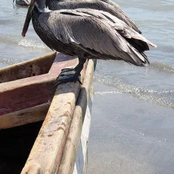 Old Harbour Bay Beach - Old Harbour