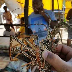 Old Harbour Bay Beach - Old Harbour