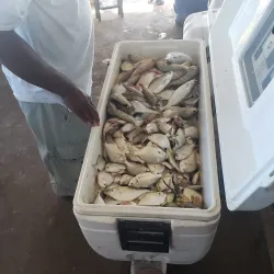 Old Harbour Bay Marine Park - Old Harbour