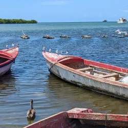 Old Harbour Fishing Village - Old Harbour