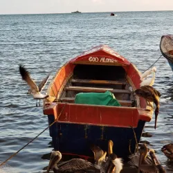 Old Harbour Fishing Village - Old Harbour