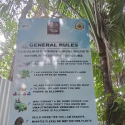 Blue Lagoon - Port Antonio