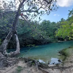 Frenchman's Cove Beach - Port Antonio