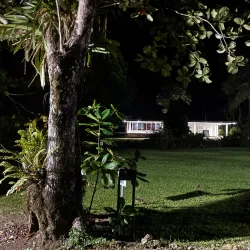 Frenchman's Cove Beach - Port Antonio