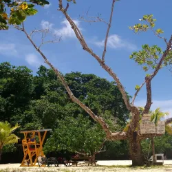 Frenchman's Cove Beach - Port Antonio