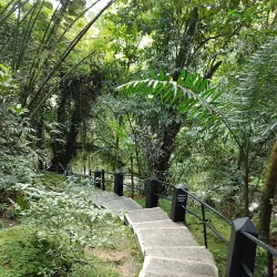 Reach Falls - Port Antonio