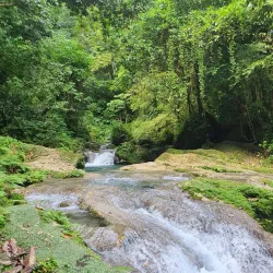 Reach Falls - Port Antonio