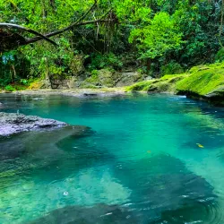 Reach Falls - Port Antonio
