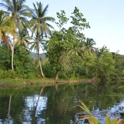 Somerset Falls - Port Antonio