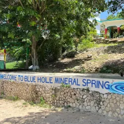 Blue Hole Mineral Spring - Port Maria