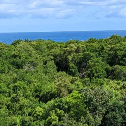 Blue Hole Mineral Spring - Port Maria