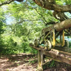 Fort Haldane - Port Maria