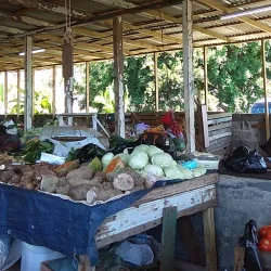 Port Maria Market - Port Maria