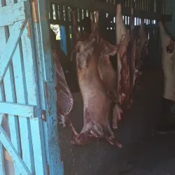 Port Maria Market - Port Maria