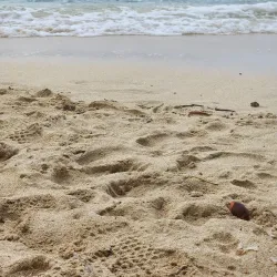 Winnifred Beach - Port Maria