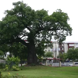 Devon House - Saint Andrew Parish