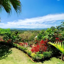 Hope Estate - Saint Andrew Parish