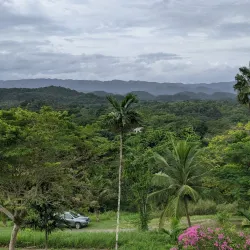 Hope Estate - Saint Andrew Parish