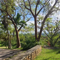 Hope Estate - Saint Andrew Parish