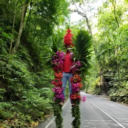 Fern Gully - Saint Ann's Bay
