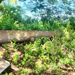 Fort Haldane - Saint Ann's Bay