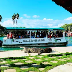 Black River Safari - Santa Cruz