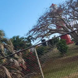 Lover's Leap - Santa Cruz