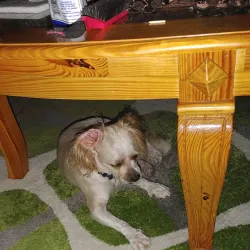 Mercado de Spanish Town - Spanish Town