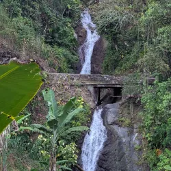Blue Mountains - Stony Hill