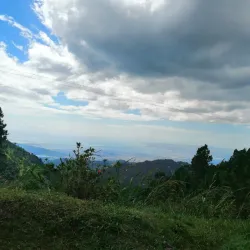 Blue Mountains - Stony Hill